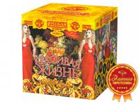 Красивая жизнь Фейерверк купить в Фокино Приморский края | fokinoprimorskij.salutsklad.ru