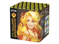 С огоньком! Фейерверк купить в Фокино Приморский края | fokinoprimorskij.salutsklad.ru