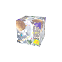 Новогодняя ночь Салют купить в Фокино Приморский края | fokinoprimorskij.salutsklad.ru