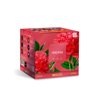 Пионы Салют купить в Фокино Приморский края | fokinoprimorskij.salutsklad.ru