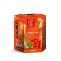 Тюльпаны Салют купить в Фокино Приморский края | fokinoprimorskij.salutsklad.ru