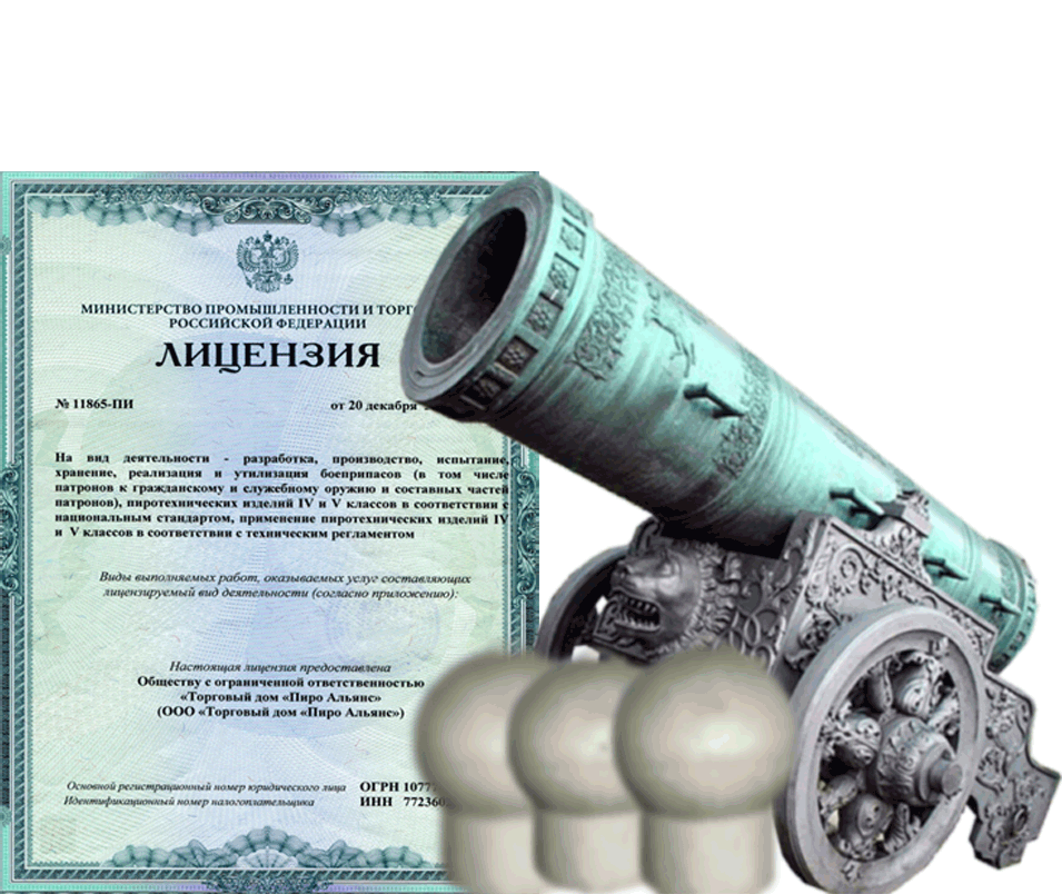 Заказать фейерверк на Новый Год - салют в Фокино Приморский края