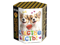 Счастье есть! Салют купить в Фокино Приморский края | fokinoprimorskij.salutsklad.ru