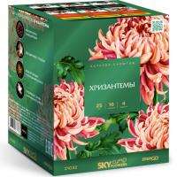 Хризантемы Фейерверк купить в Фокино Приморский края | fokinoprimorskij.salutsklad.ru