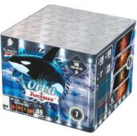 Косатка Фейерверк купить в Фокино Приморский края | fokinoprimorskij.salutsklad.ru