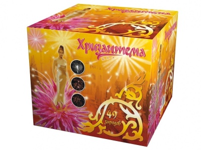 Хризантема Салют купить в Фокино Приморский края | fokinoprimorskij.salutsklad.ru