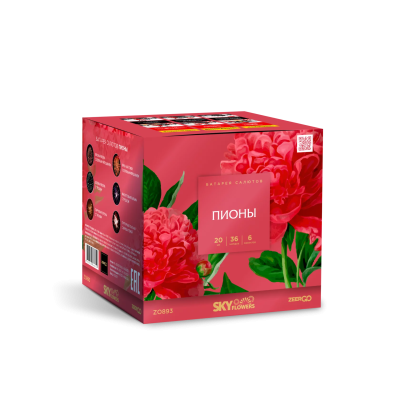Пионы Салют купить в Фокино Приморский края | fokinoprimorskij.salutsklad.ru
