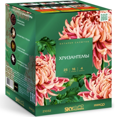 Хризантемы Фейерверк купить в Фокино Приморский края | fokinoprimorskij.salutsklad.ru