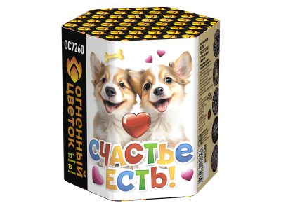 Счастье есть! Салют купить в Фокино Приморский края | fokinoprimorskij.salutsklad.ru